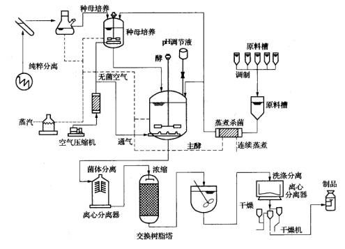 生物發酵罐工藝流程圖 生物發酵罐工藝流程圖